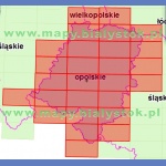 Województwo opolskie. Mapa topograficzna 1:50 000. Układ UTM - Arkusz
