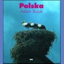 Polska. Album