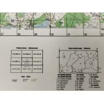Rypin N-34-099-C,D. Mapa topograficzna 1:50 000 Układ UTM