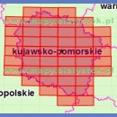 Województwo kujawsko-pomorskie. Mapa topograficzna 1:50 000. Układ UTM - Arkusz